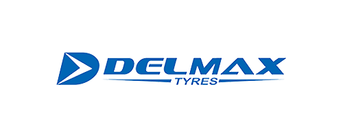 Logo Delmax