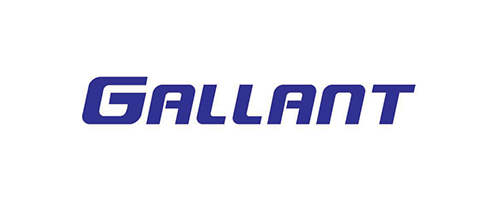 Logo Gallant