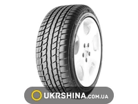 Зимние шины GT Radial Champiro WT-AX 225/45 R17 94H