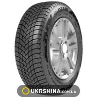 Зимние шины Otani WE1000 205/65 R15 94H