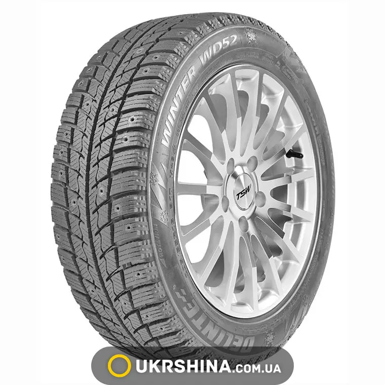 Зимние шины Delinte Winter WD52