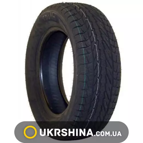 Зимние шины Apollo Acelere Winter