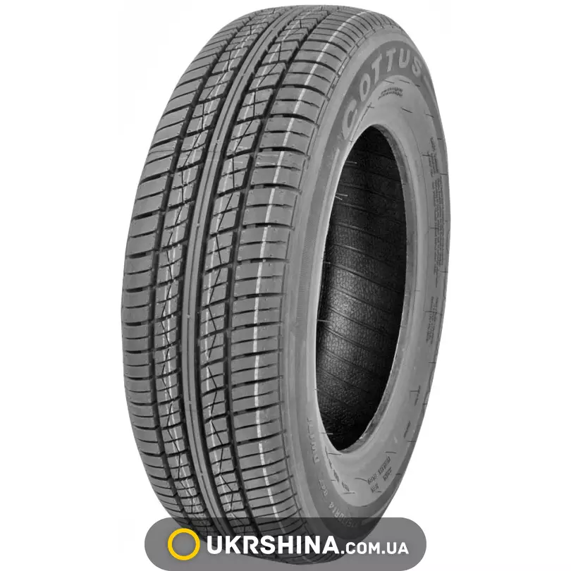 Літні шини Daewoo DW171 Cotus