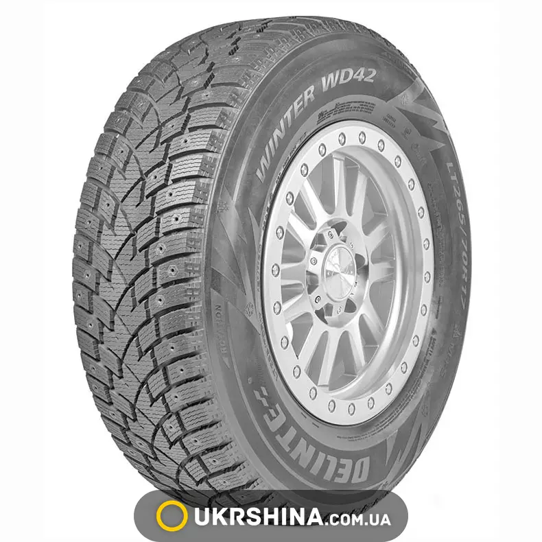 Зимние шины Delinte Winter WD42
