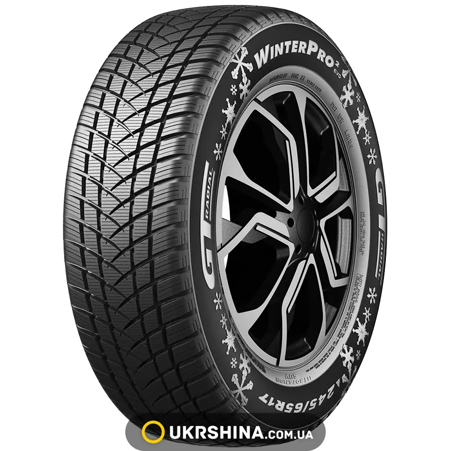 Зимние шины GT Radial WinterPro2 evo