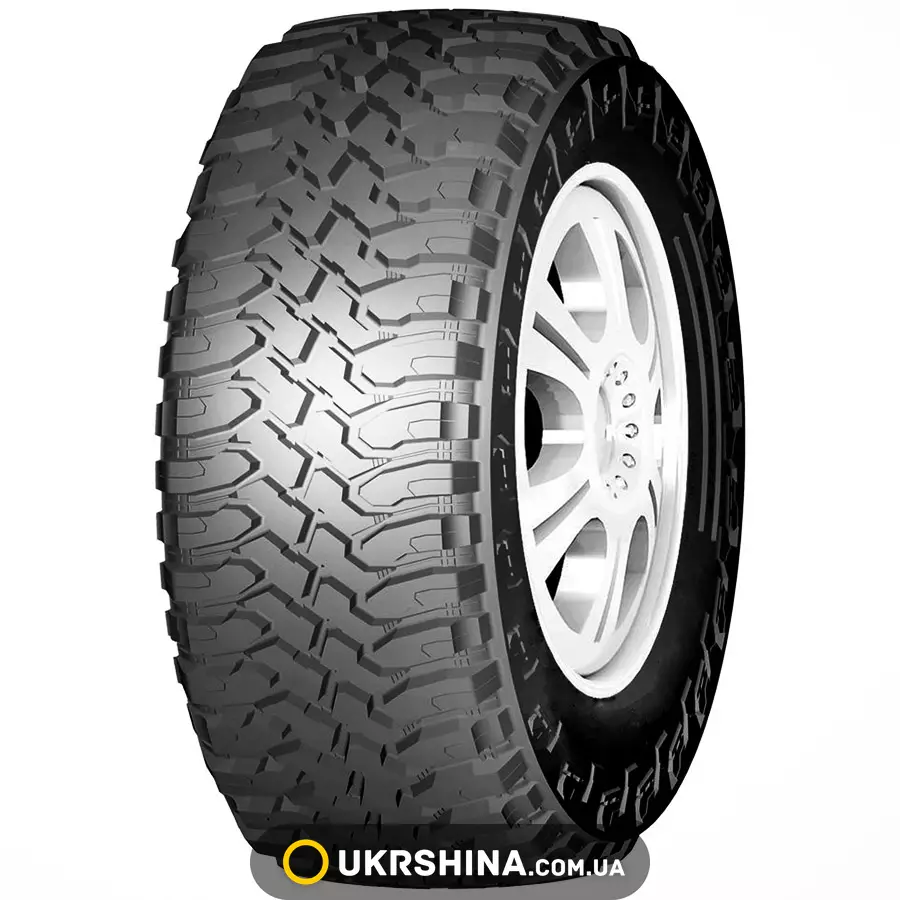 Всесезонные шины Roadshine RS905+