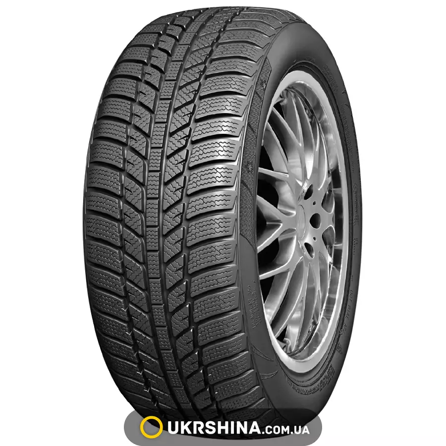 Зимние шины Roadx RXFrost WH01