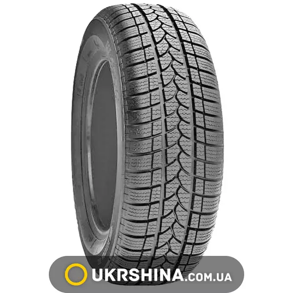 Зимние шины Rotex W2500