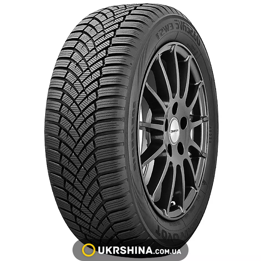 Зимові шини Toyo Observe EWS1